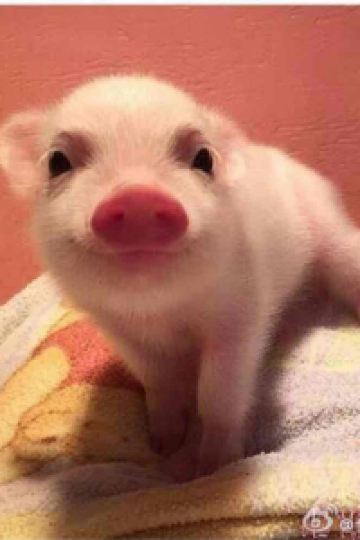 訪客 上海協信莎瑪長風服務式公寓優惠