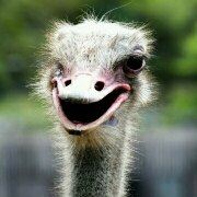 Shanqingshuiming 澳門富華酒店優惠