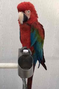 Yoududebaozi 維也納飯店（珠海城軌明珠站店）優惠