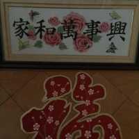 青岛仔仔