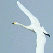 ljl3456 藝龍飯店（杭州西湖店）優惠