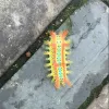 Avatar 2