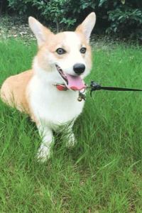 E8964**** 黃金海岸Q1温泉度假村優惠