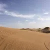 Avatar 2