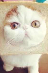 Xiaoyuanqiu 沖縄逸の彩 温泉リゾートホテル クーポン