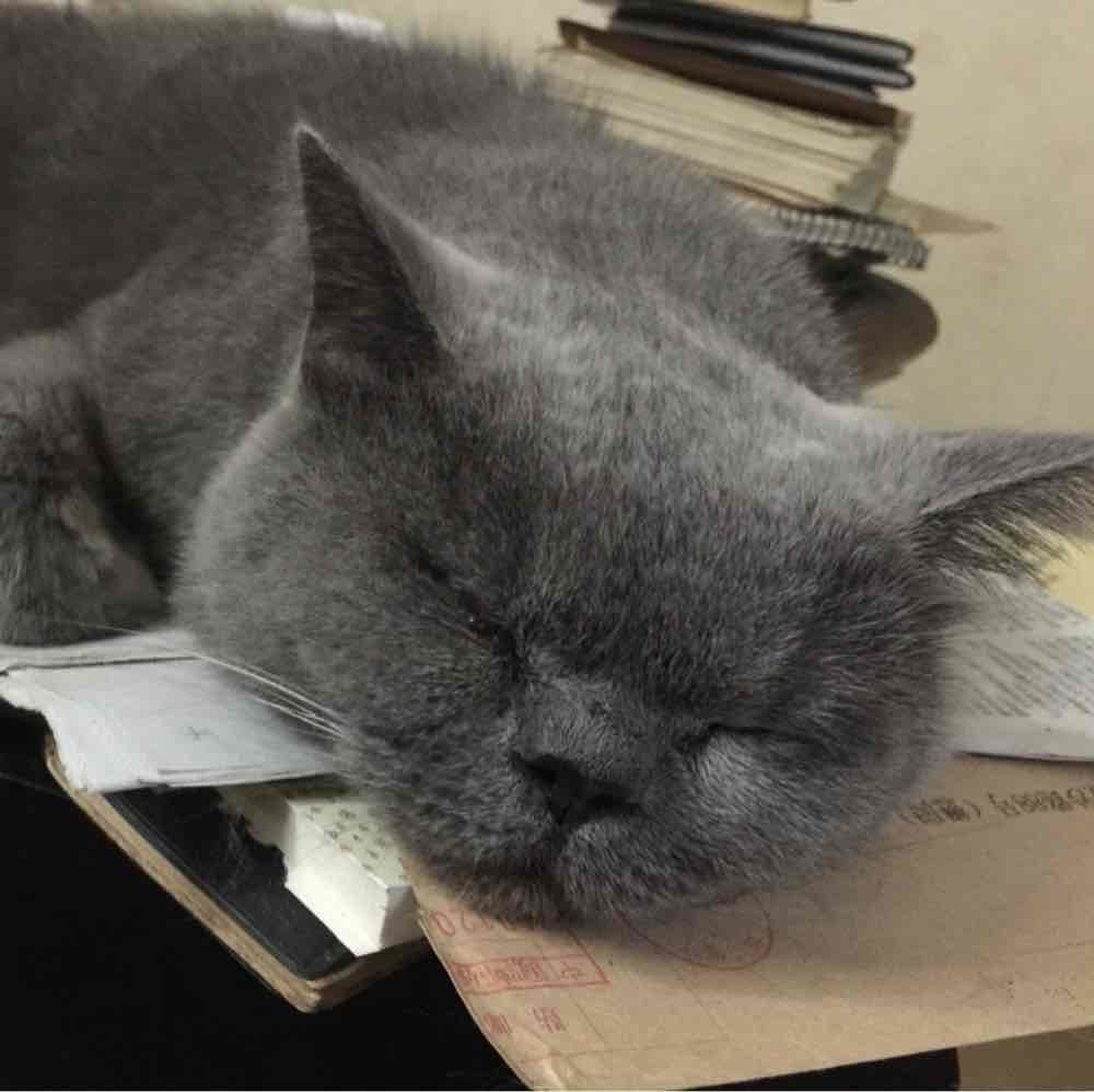 head-img