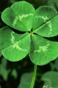 Ganen JR東日本橫濱METS飯店優惠