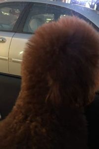 george**** 名鉄イン名古屋駅新幹線口 クーポン