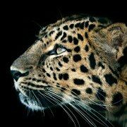 D11788**** 曼谷素拉翁蒙天飯店優惠