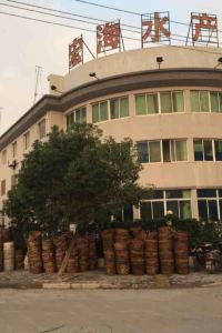 Shengmaertachenqun