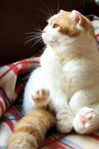 Shuishui 河源客天下.漣岸.禧悦莊温泉美宿優惠