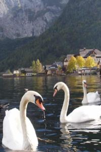 Yeseliaoren 灕江泊隱酒店（桂林兩江四湖象山景區店）優惠