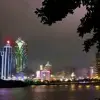 柳絮轻飞