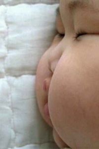 Babawu 佛山順德皇帝飯店優惠