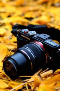 Jullyjiong 伊豆　北川温泉　お祝いの宿　吉祥CAREN クーポン