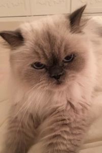 yI_xX 深圳南山希爾頓逸林酒店及公寓優惠