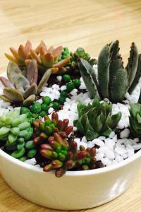 erica 百利宮西貢飯店優惠