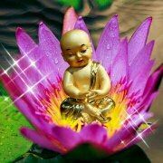 Jiupinlianhua 麻城燕加隆雅美國際飯店優惠