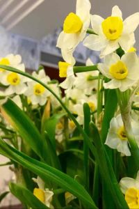 Beibeitao 瓊海博鰲道紀海景大酒店優惠