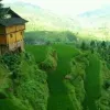 Avatar 1