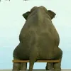 Avatar 1