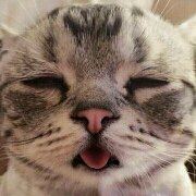 M16484**** 江門柏麗連鎖酒店（中心店）優惠