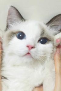 rookieyao 金澤凱悅尚萃飯店優惠