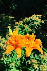 118269**** 慕尼黑艾美飯店優惠