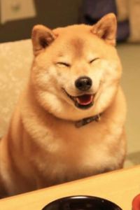 Jason 倫敦希思羅機場 2 號和 3 號航廈希爾頓花園酒店優惠