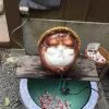 Avatar 2