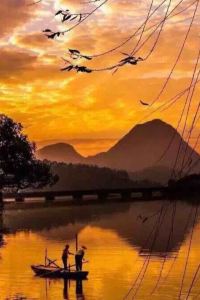 Nelsonz918 三交イン名古屋<新幹線口> クーポン