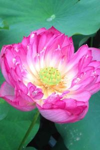 1891867**** 虹橋愛琴海LOFT公寓優惠