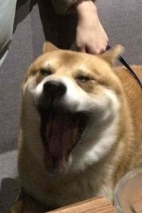 cara 福州三坊七巷輕居飯店優惠