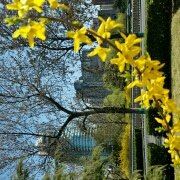 maggiedesky 瀋陽盛捷和平服務公寓優惠