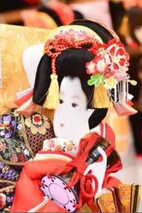 訪客用戶 盛泰樂大象島熱帶雨林度假村優惠