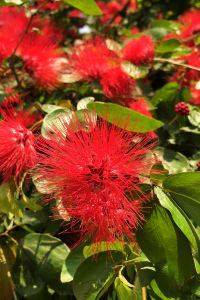 Mimic06 草津溫泉大東館優惠