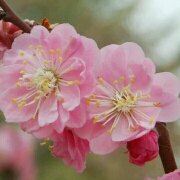 Dahai770518 武漢光谷一路希爾頓歡朋飯店優惠