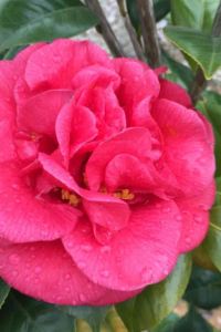 Liuxiangyu 雄琴溫泉 湯山荘優惠