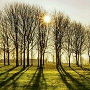 Shipowner 河內薩默塞特華平酒店優惠