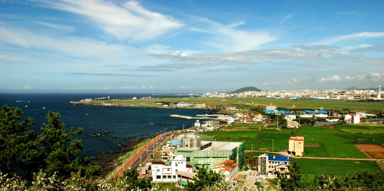 ビーチ ハウス チェジュ ペンションの写真 22年の部屋 お風呂 レストランと食事の写真 Trip Com