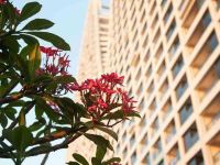 北海北部湾一号可可假日海景酒店公寓 - 酒店外部