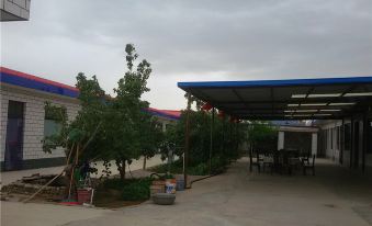 Zhongwei Green Farm