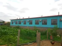 Zhongwei Green Farm