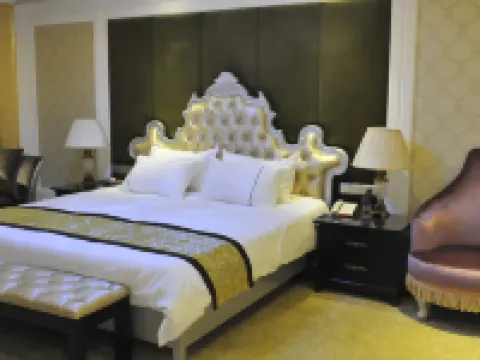 信豐桃江大酒店 信豐酒店