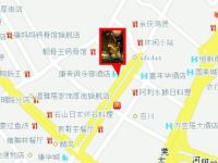 康帝俱乐部酒店(东莞国际展览中心店) - 其他