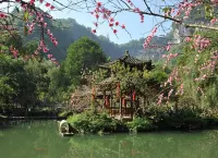 Times International Hotel