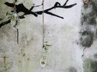 上海杂志咖啡客栈 - 花园
