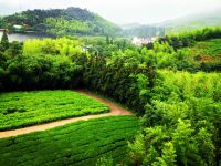 莫干山云中山居 - 酒店景观