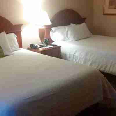 多倫多萬錦希爾頓花園酒店 Rooms