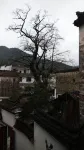 婺源銀杏人家 - 青年旅舍